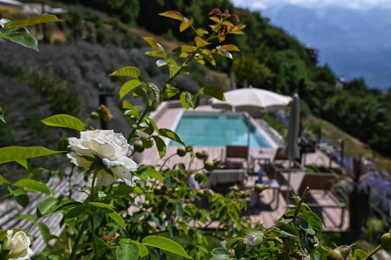 Bnb Borgo Le Vigne - L'Uva Rara Only Adults Tignale